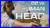 22-Vs-Human-Head-01-cwo