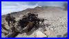 Us-Marines-Firing-Their-Heckler-U0026-Koch-M27s-01-hnry